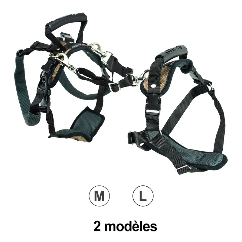 Harnais de levage CareLift™ – Transport en voiture, avion, vélo – Notre passion, vos animaux !