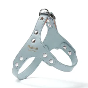 Harnais de luxe pour petit chien