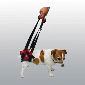 Harnais de maintien handy canis