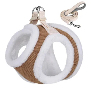 Harnais d’hiver pour petit chien avec petite laisse