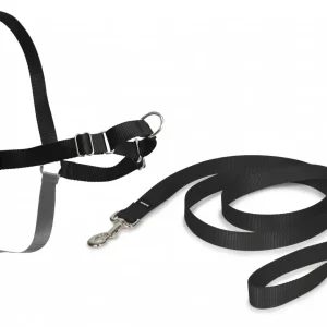 Harnais Easy Walk™ chien