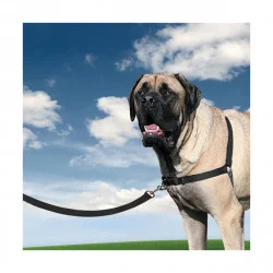 HARNAIS EASY WALK noir Taille XL