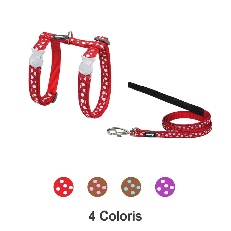 Harnais et laisse Red Dingo Chats à pois – Sellerie pour chats : la sélection Natur’animo – Notre passion, vos animaux !