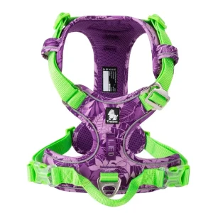 Harnais fantaisie pour petit chien violet