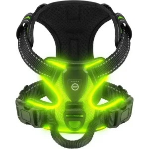Harnais fluorescent pour gros chien