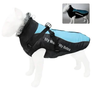 Harnais gros chien hiver