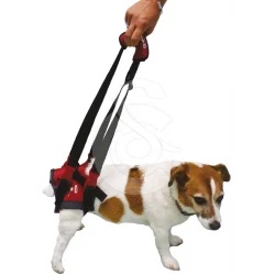 Harnais Handy-Canis pour chien paralysé du train arrière