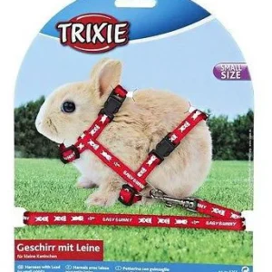 Harnais & laisse petit lapin