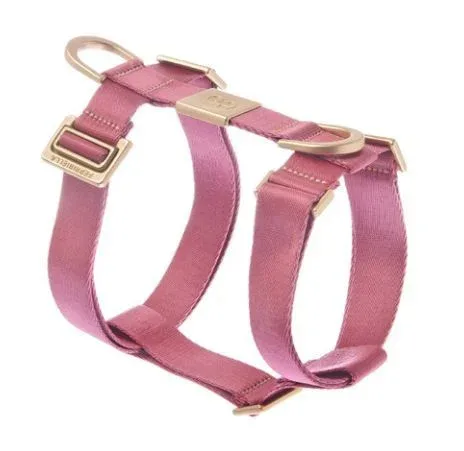 Harnais « Mida » – Rouge (XL) – Ferribiella J’ai plus de croquettes