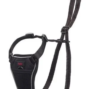 Harnais Non-Pull pour chien