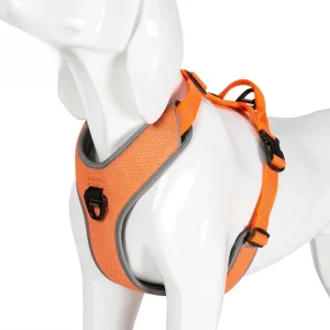 Harnais parachute petit chien