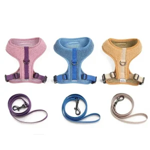 Harnais petit chien en y