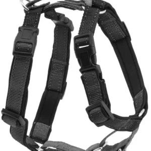 Harnais Petsafe 3 en 1 et attache de retenue (point d’attache devant et sur le dos)