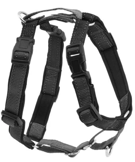 Harnais Petsafe 3 en 1 et attache de retenue (point d’attache devant et sur le dos)