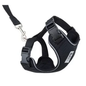 Harnais pour chat, Adventure Kitty noir, RC Pets