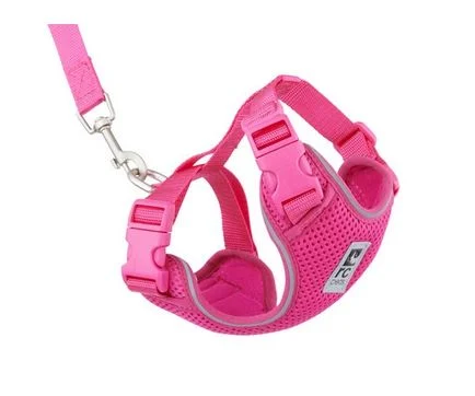 Harnais pour chat, Adventure Kitty rose, RC Pets