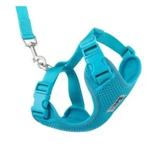 Harnais pour chat, Adventure Kitty sarcelle, RC Pets