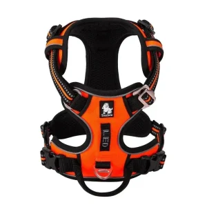 Harnais pour chien staffie