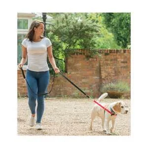 Harnais pour chien Walkezee - Image 2