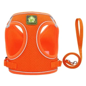 Harnais pour petit chien 4 kg