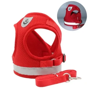 Harnais pour petit chien 6 kg