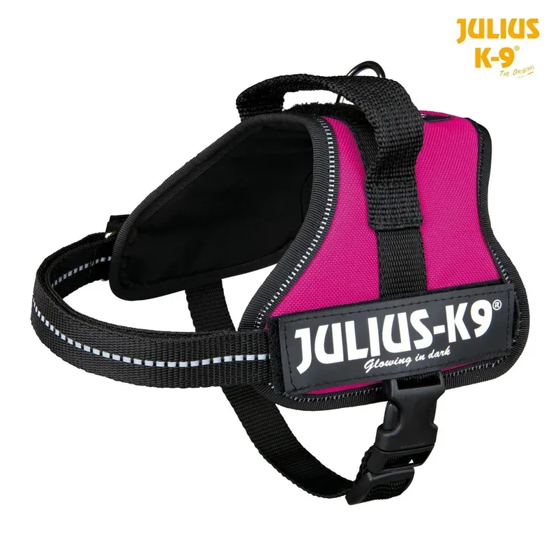 Harnais Power Julius-K9 Mini /S (Coloris : Fushia) J’ai plus de croquettes