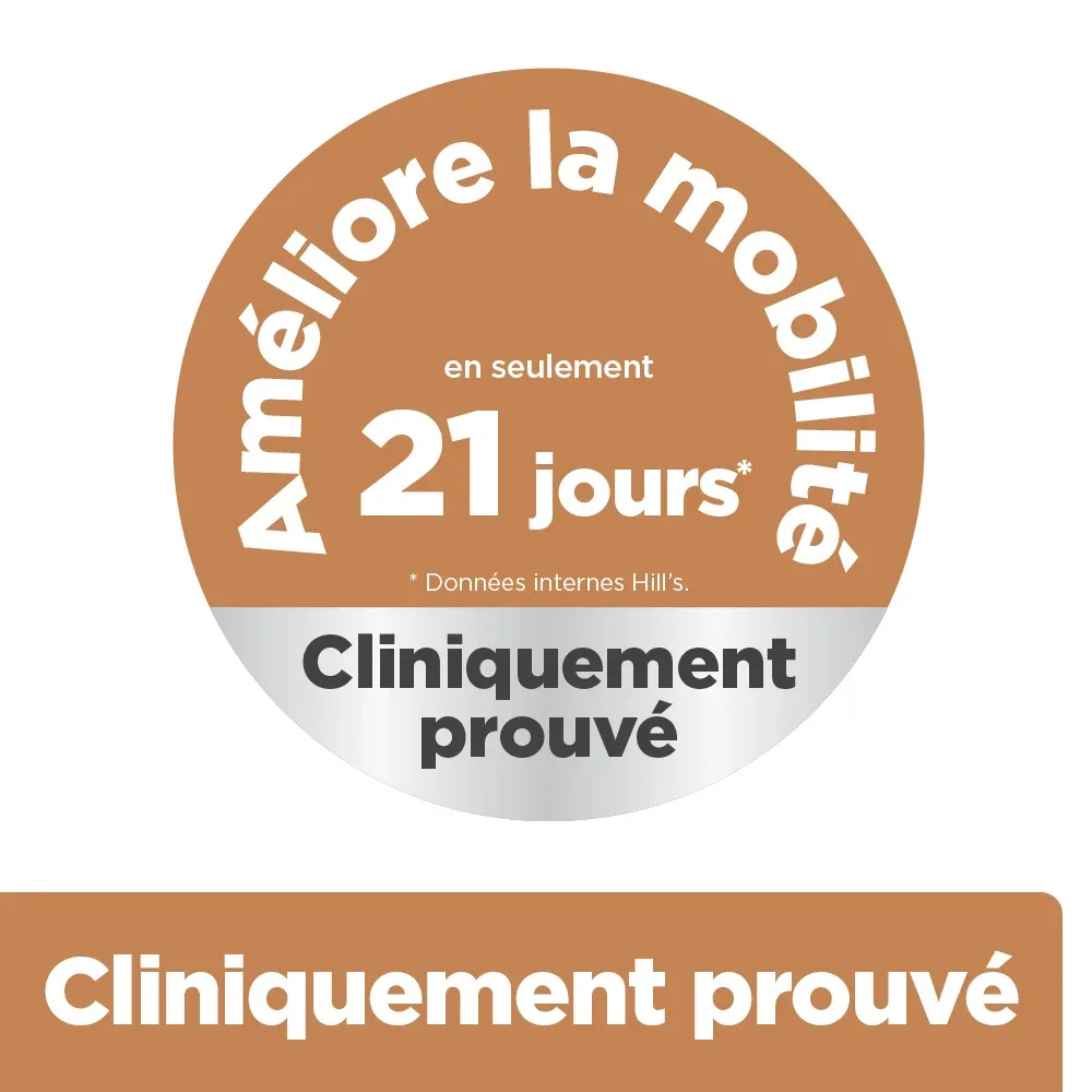 Hill's Prescription Diet j/d Mobility au poulet - croquettes chien - Image 2