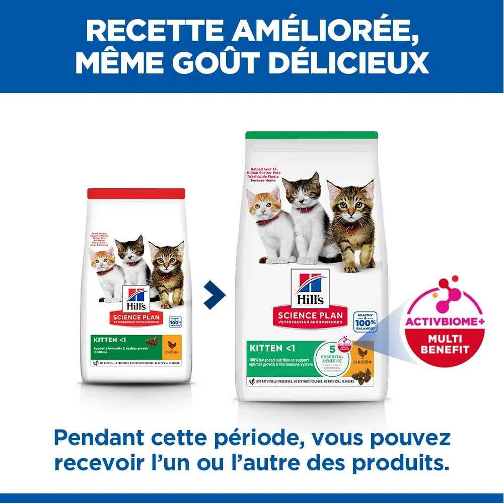 Hill's Science Plan Kitten au poulet - Image 2