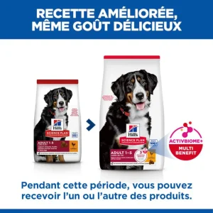 Hill's Science Plan Large Adult au poulet - croquettes chien