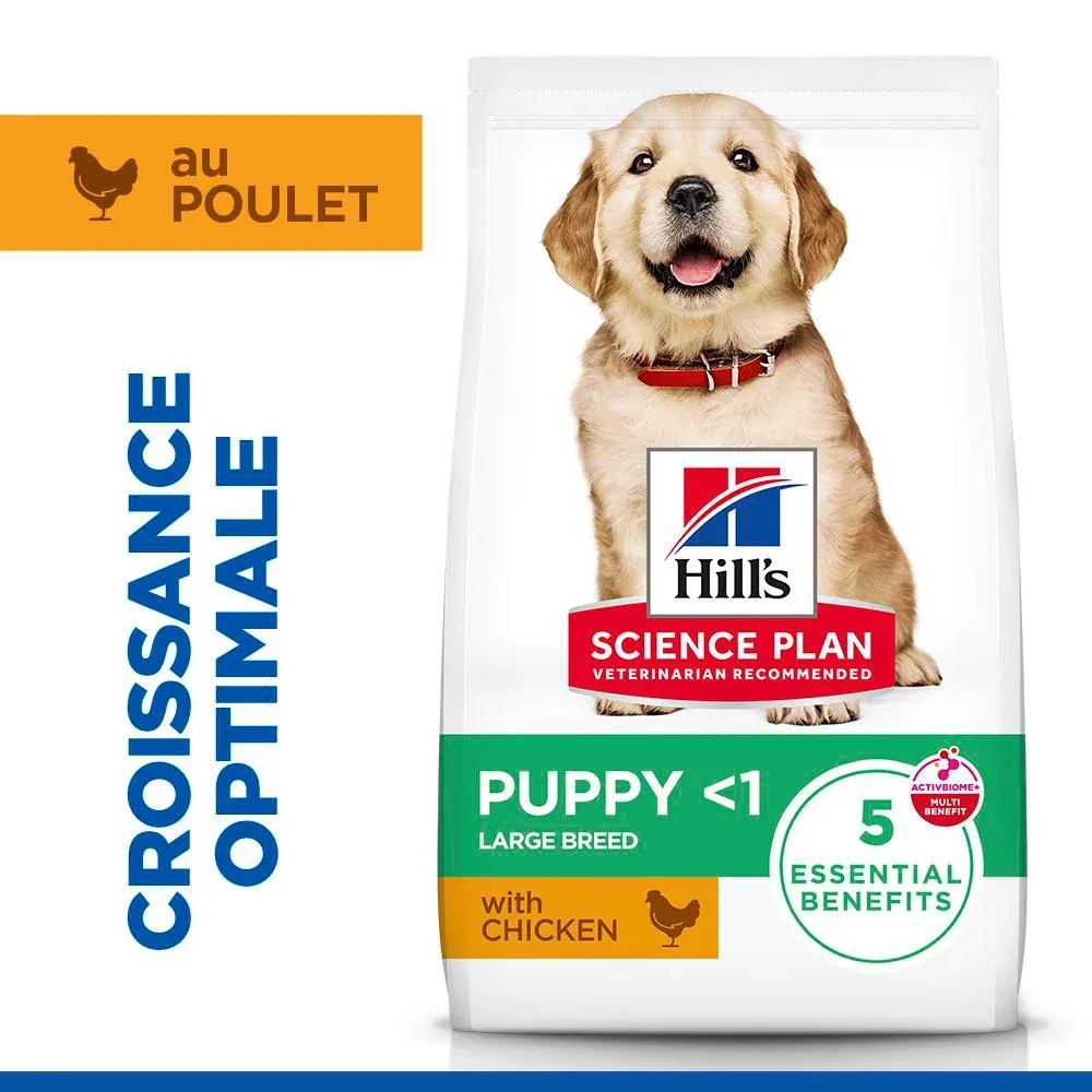 Hill's Science Plan Large Puppy au poulet - croquettes chiot - Image 2