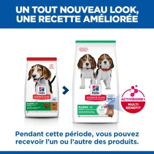 HILL'S Science Plan Medium Puppy à l'Agneau - Croquettes pour chiot