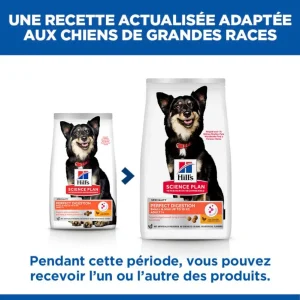 Hill's Science Plan Perfect Digestion Small & Mini Adult au poulet - croquettes chien