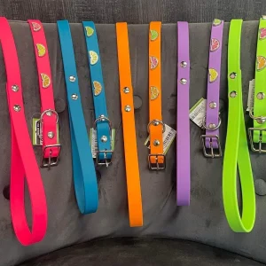 Hot Dogs All Dressed – Collier – Cuir Vegan (Végétalien) – Agrume – Chien