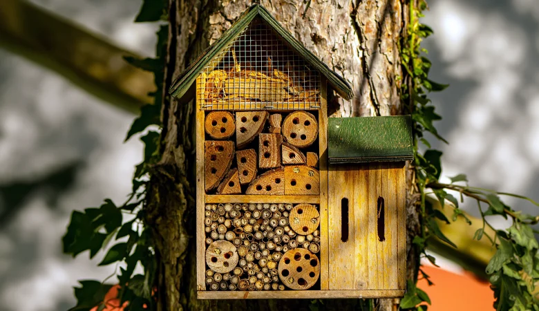 Hôtels à insectes : fonctionnement, emplacement et habitants