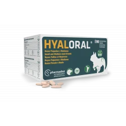 Hyaloral Chiot, petites et moyennes races