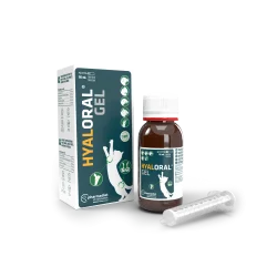 Hyaloral gel