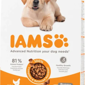 Iams Puppy Large au poulet pour chiot