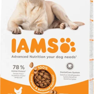 Iams Senior Large au poulet pour chien