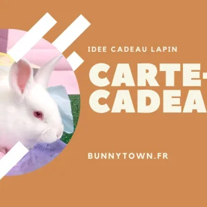 Idée Cadeau Lapin