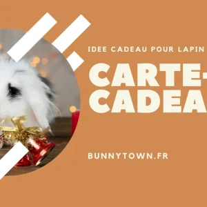 Idée Cadeau pour Lapin