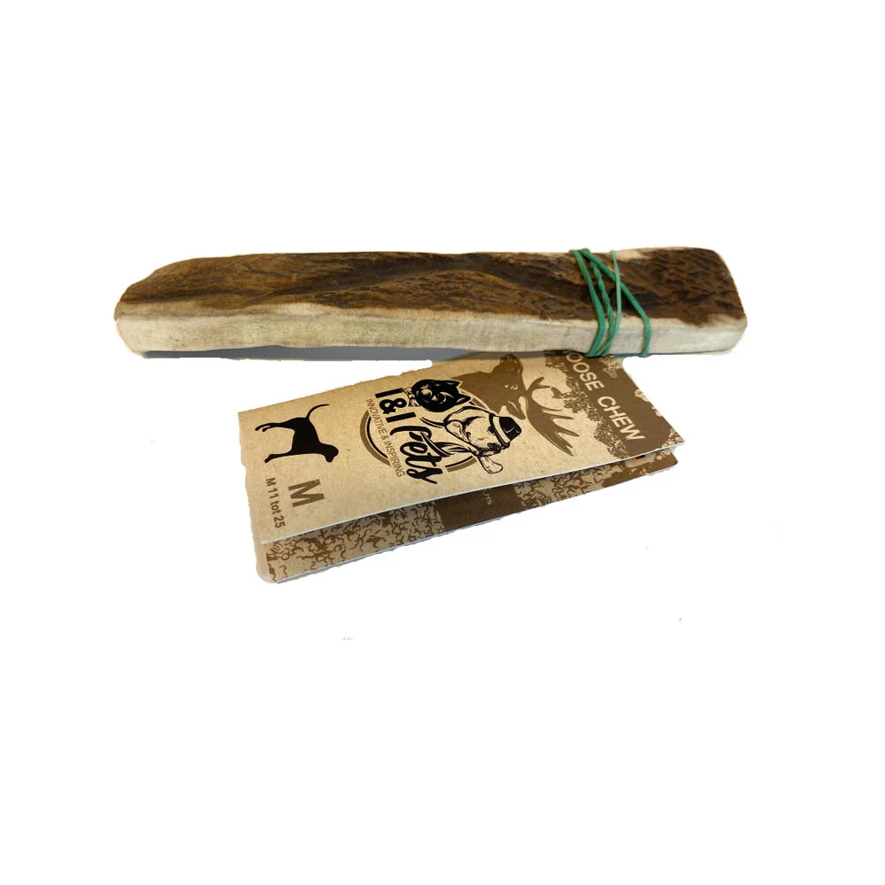 I&I Pets - Mâcher Naturellement Moose Chew