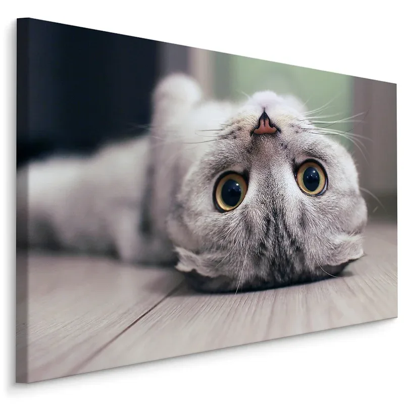 Image Sur Toile CHAT Animal Nature 3D 100cm x 70cm – Parfait pour décorer votre salon, chambre ou bureau avec un design unique et