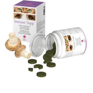 Immune Supp chat, chien