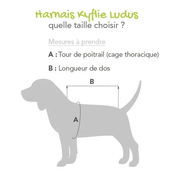Imperméable Tarbes chien - Image 2