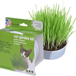 Jardin herbe pour chats, Van Ness