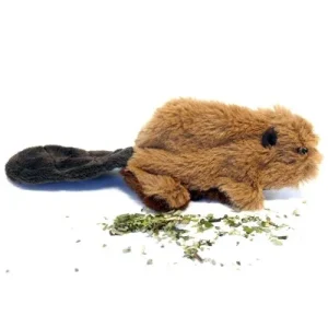 Jouet Beaver Kong chat