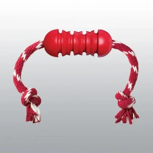 Jouet Dental Kong chien