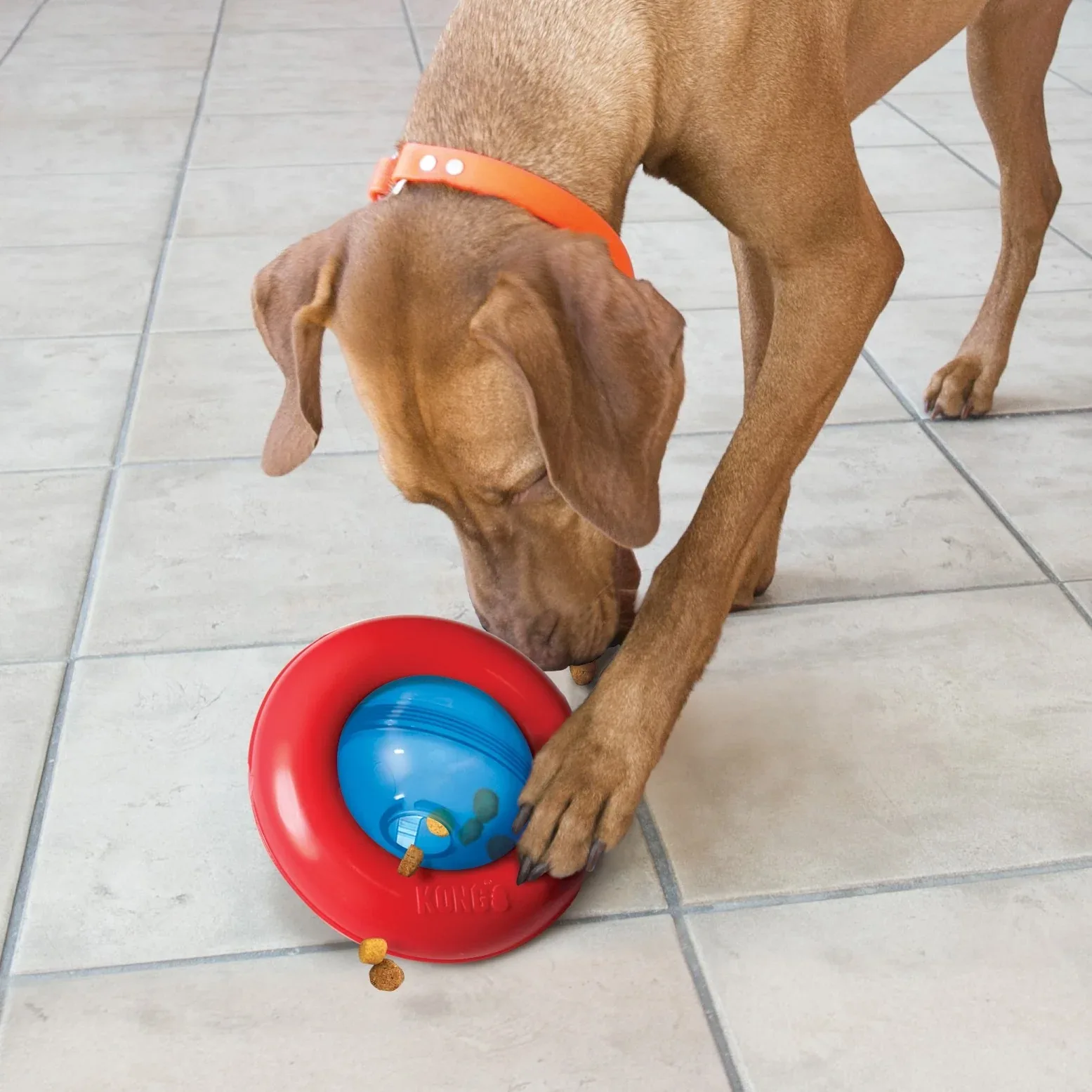 Jouet distributeur Gyro de Kong chien - Image 2
