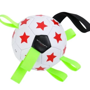 Jouet fun ball 18cm couleurs aléatoires - Chien