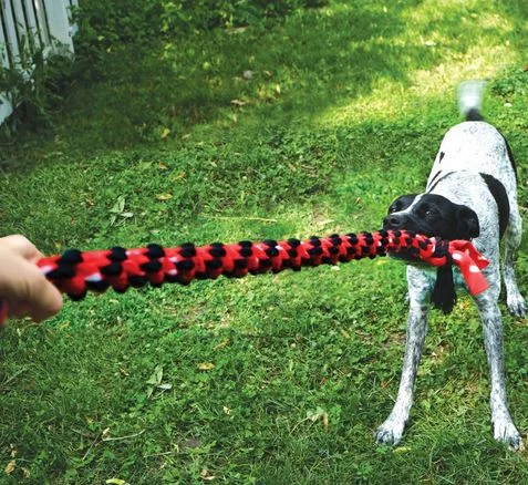 Jouet pour chien, corde avec 2 noeuds, Kong Signature - Image 2